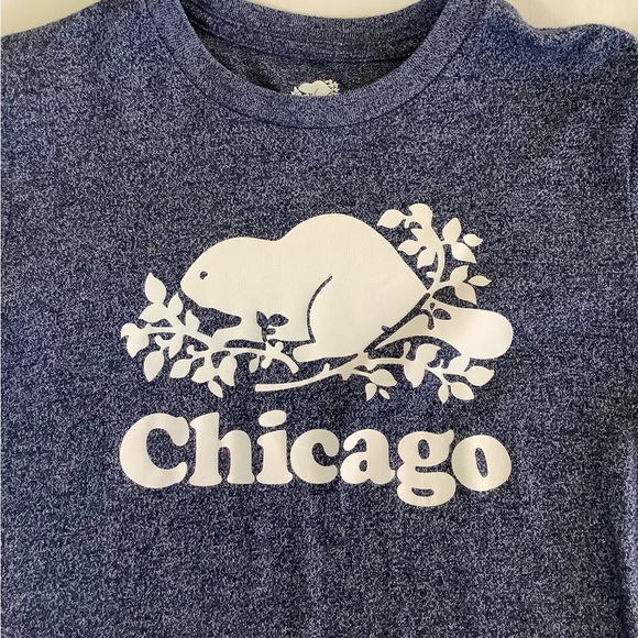 Roots (Canada) Chicago Heather Blue T-shirt Size Small - Picture 2 of 5